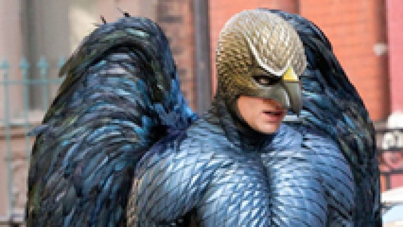 'Birdman' 