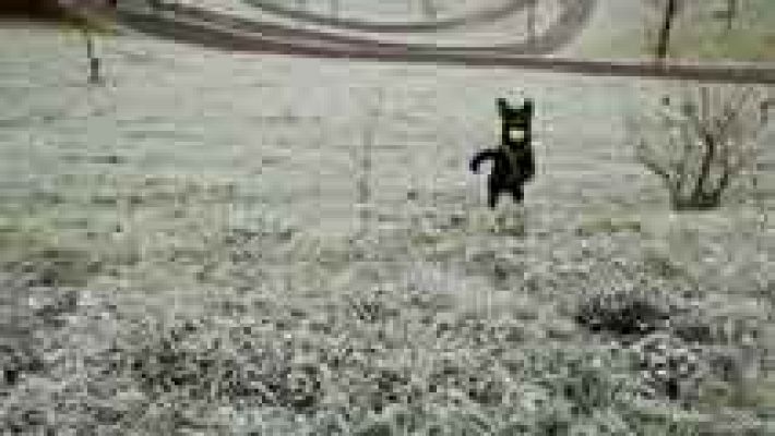 Informativo de Madrid - El tiempo en la Comunidad de Madrid - 09/01/15