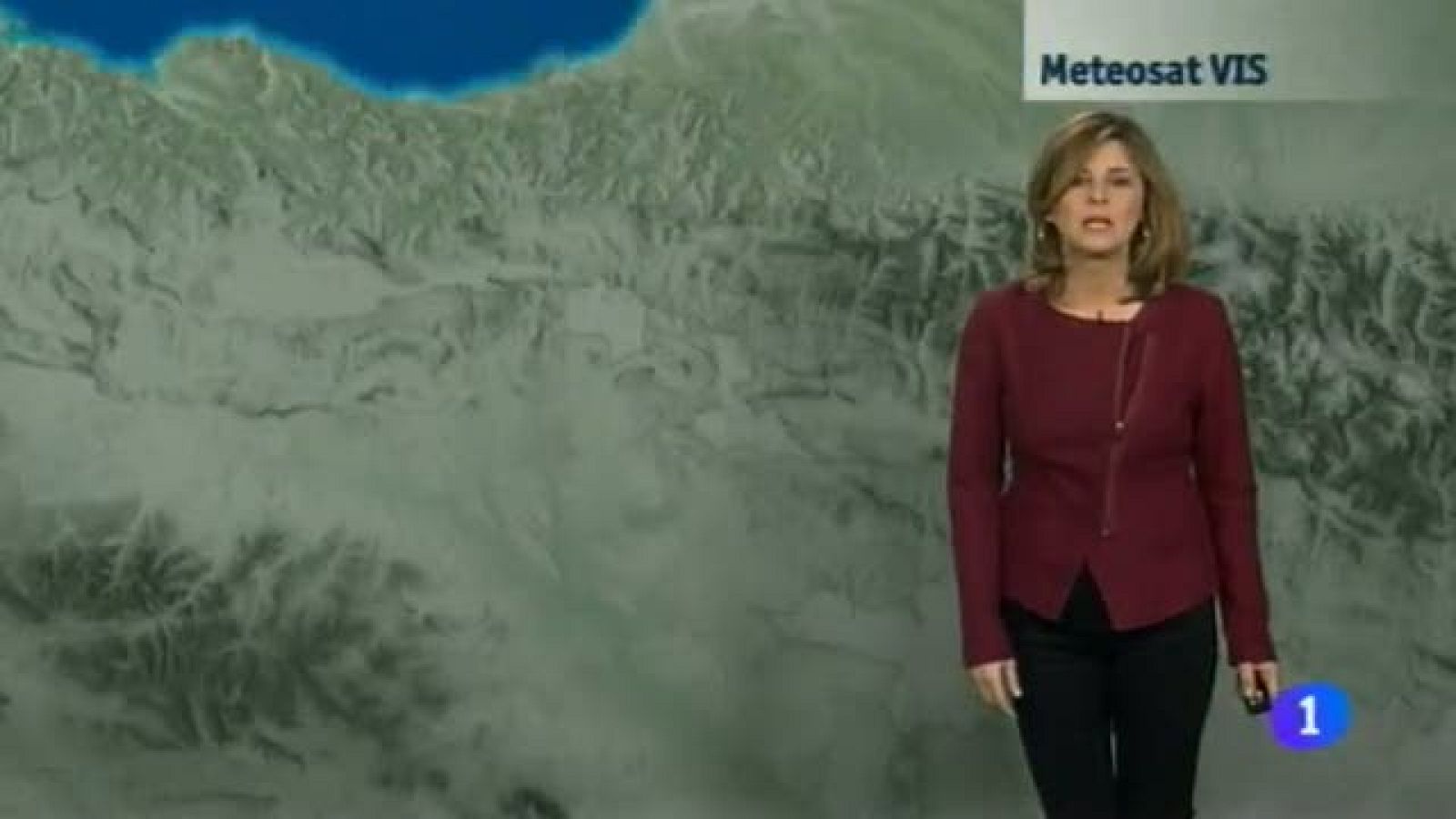 El tiempo en la Comunidad de Navarra - 09/01/2015 | Ver