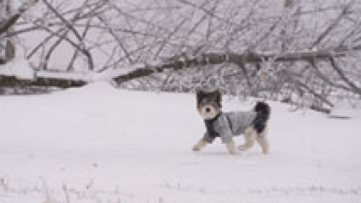 El tiempo - Ascenso de las temperaturas