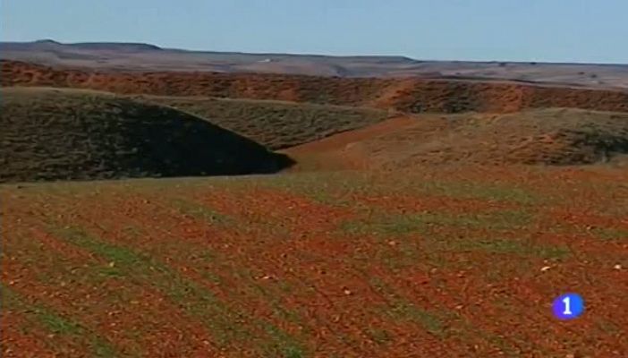 Noticias Aragón - Noticias Aragón 2-09/01/15