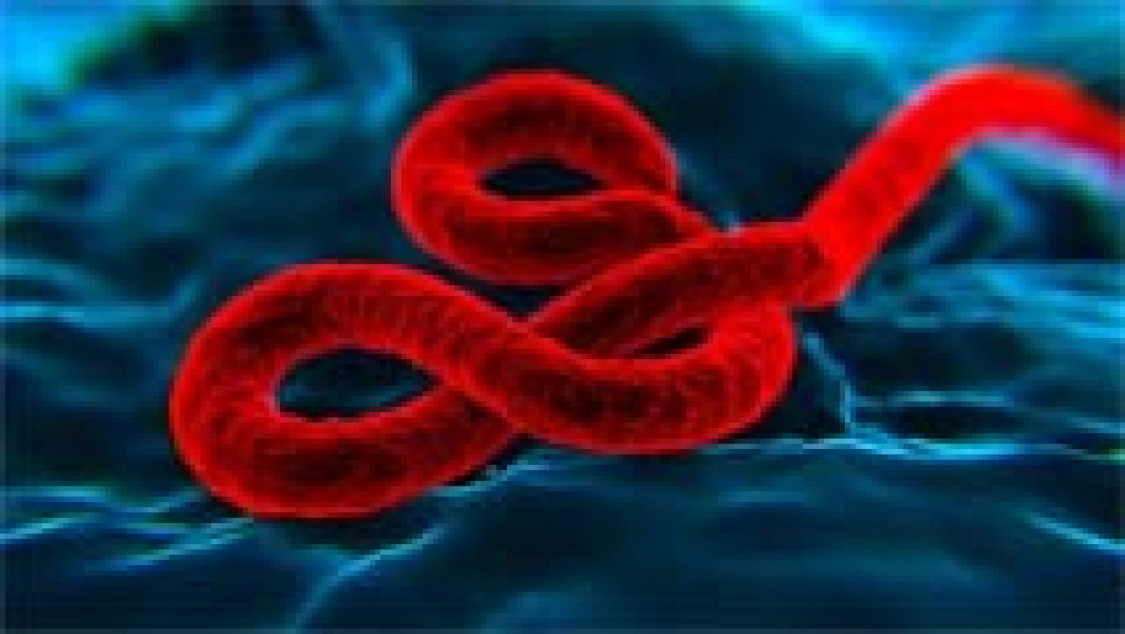 Telediario 1: La OMS anuncia que probará la vacuna contra el ébola en las zonas afectadas | RTVE Play