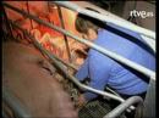  - Una 'mamá' diferente