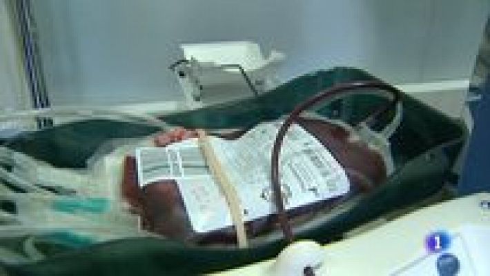 L'informatiu - Comunitat Valenciana - L'Informatiu - Comunitat Valenciana 2 - 12/01/15