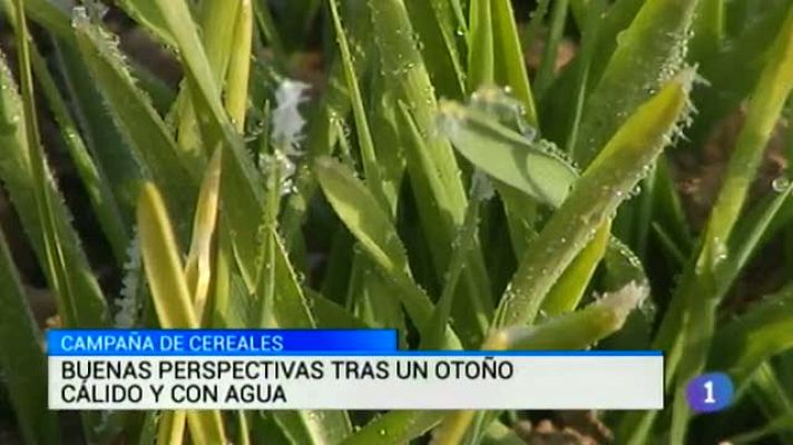 Noticias de Castilla-La Mancha - Noticias de Castilla La Mancha 2 - 12/01/15