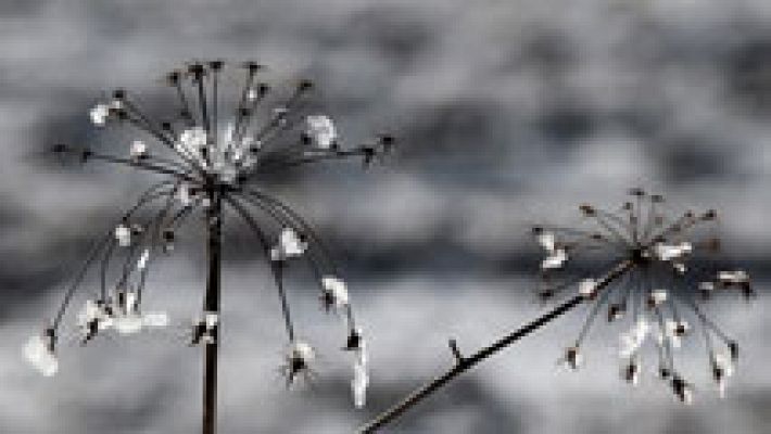 El tiempo - Intervalos de vientos fuertes en la costa noroeste de la Península