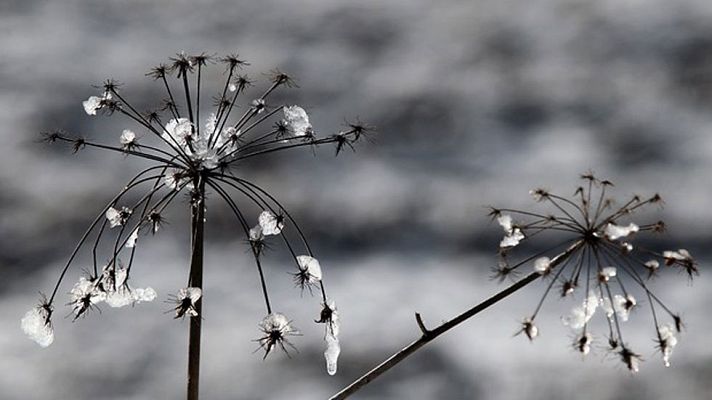 El tiempo - Intervalos de vientos fuertes en la costa noroeste de la Península