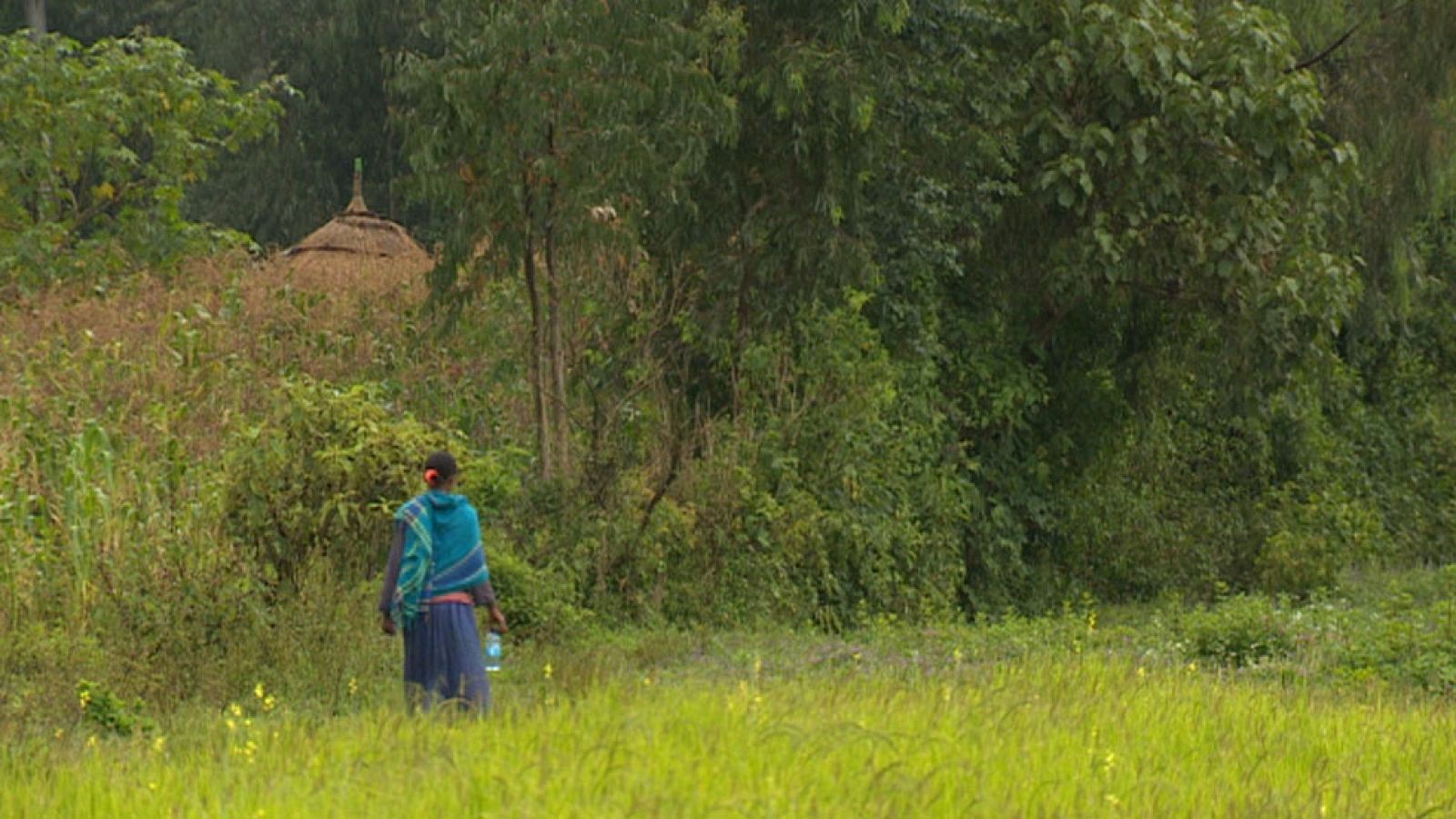 En España hay 17.000 niñas en riesgo de sufrir mutilación genital cuando viajan al país de origen de sus padres