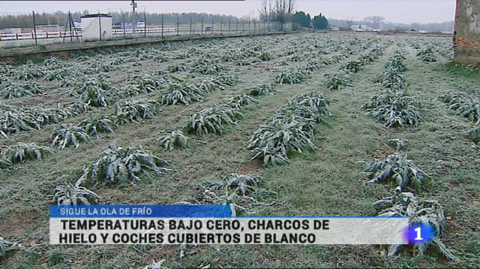 Informativo Telerioja 2 - 13/01/15 | Ver