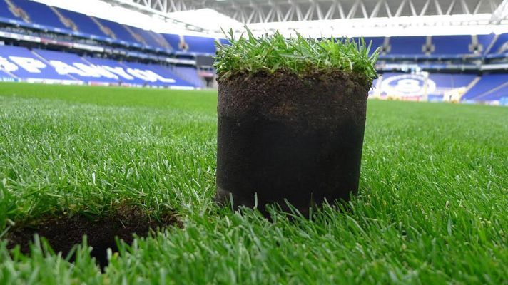 Aquí la Tierra - Césped sostenible para estadios sostenibles