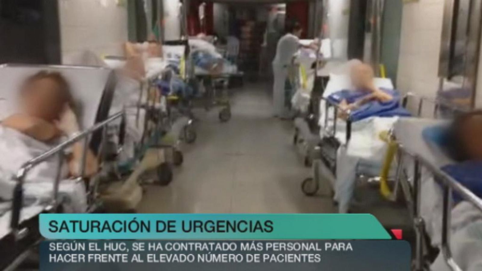 + Canarias - 14/01/15 - +Canarias | Ver