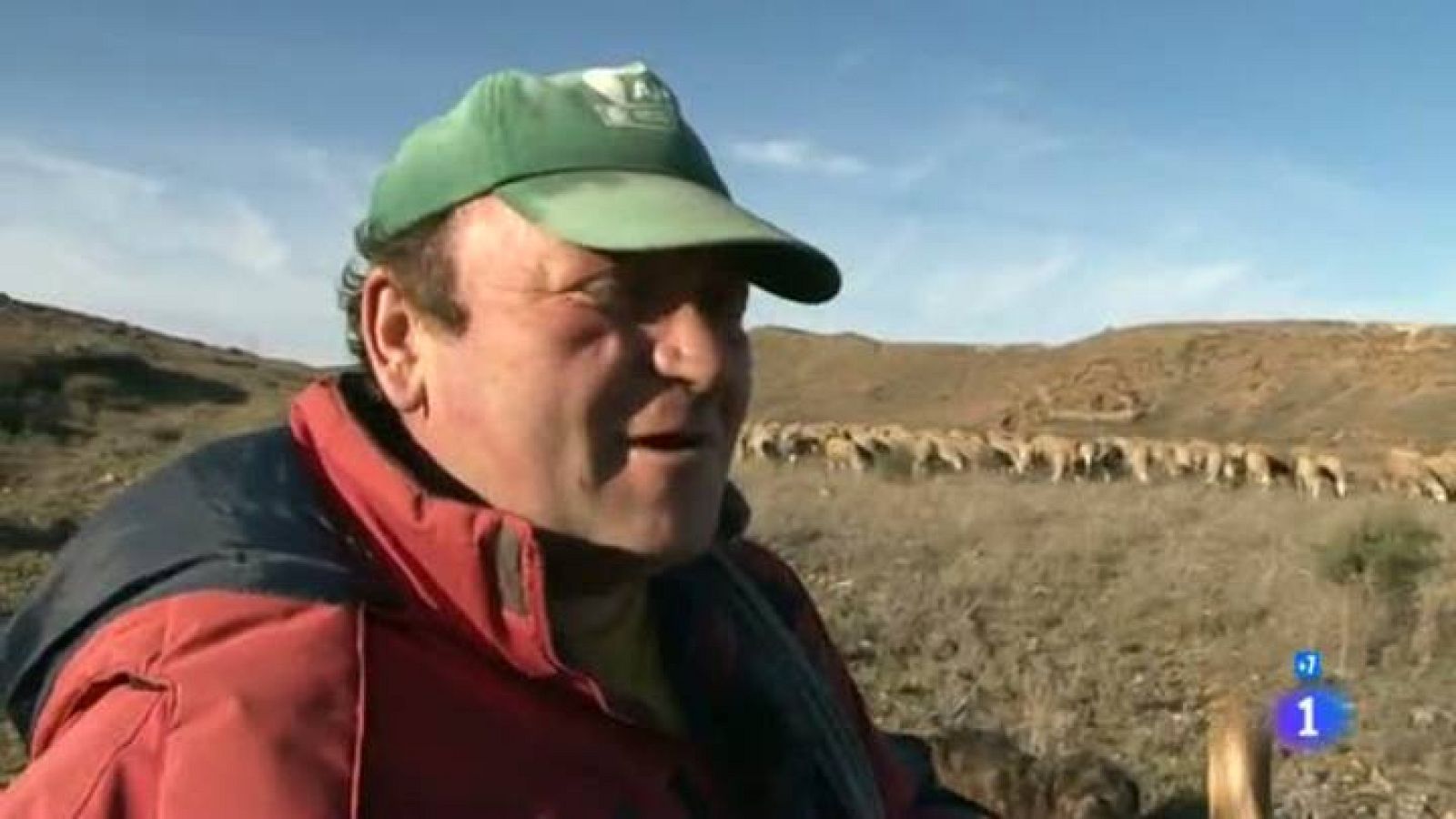 Comando Actualidad - Pastor y poeta - 14/01/15