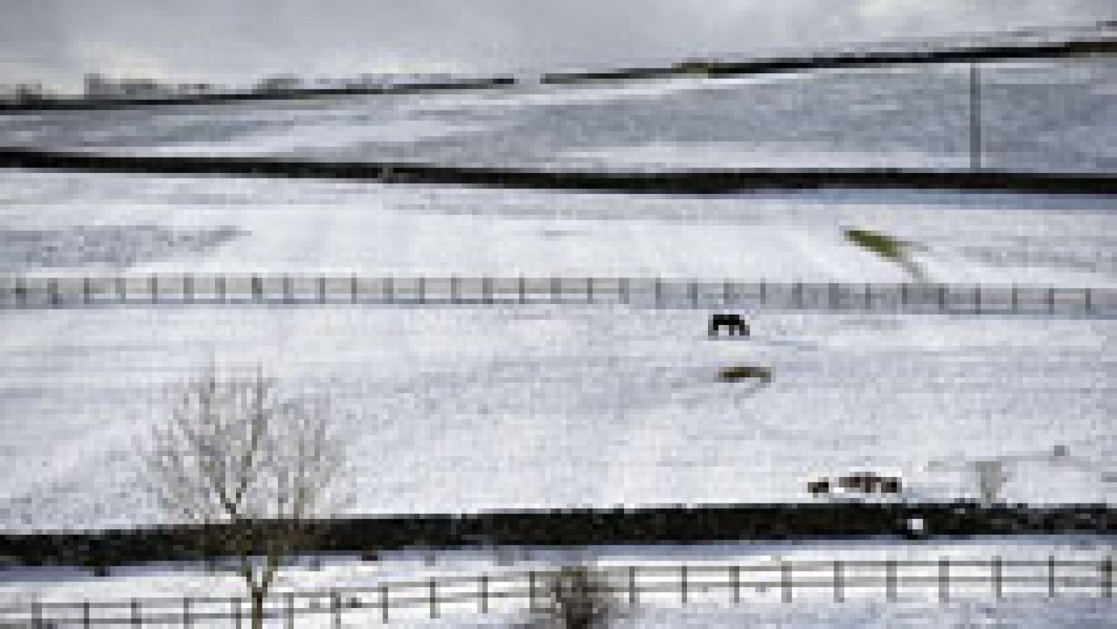 El tiempo: Mañana, viento fuerte en Canarias y nevadas en el norte de la Península | RTVE Play