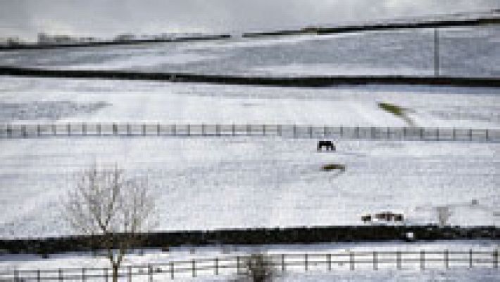 Mañana, viento fuerte en Canarias y nevadas en el norte de la Península