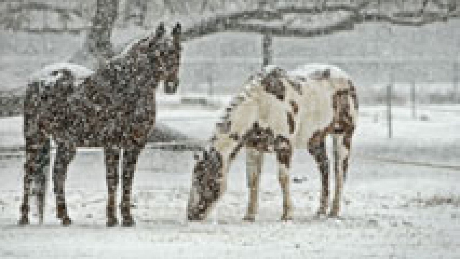 El tiempo: Nevadas frecuentes e intensas en los Pirineos | RTVE Play