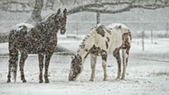 Nevadas frecuentes e intensas en los Pirineos