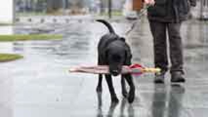 Informativo de Madrid - El tiempo en la Comunidad de Madrid - 16/01/15