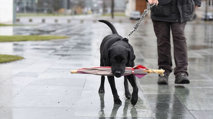 Informativo de Madrid - El tiempo en la Comunidad de Madrid - 16/01/15