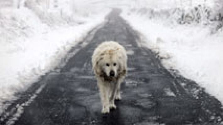 El tiempo - Nevadas en zonas del noroeste peninsular