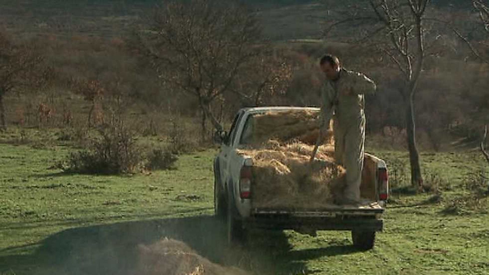 Agrosfera - 17/01/14 - Ver ahora
