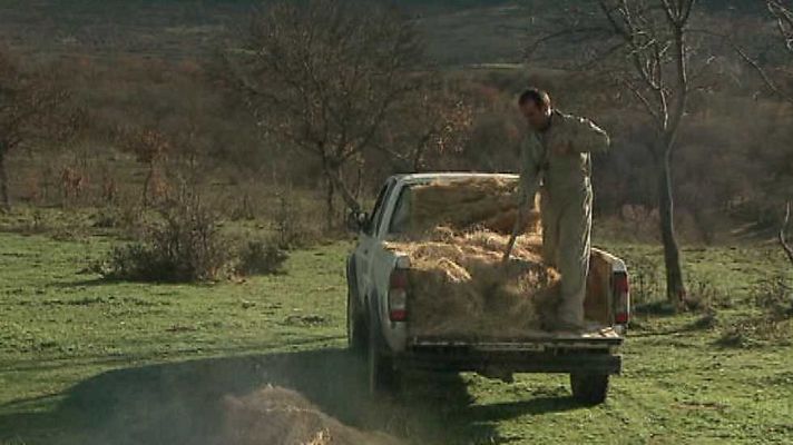 Agrosfera - Agrosfera - 17/01/14