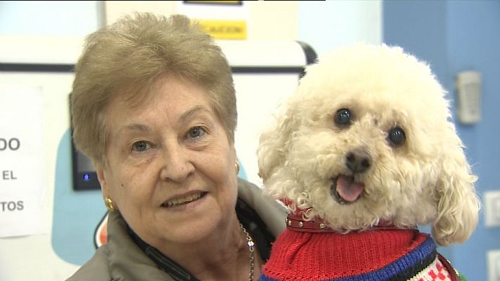 Telediario 1 - El negocio de las mascotas mueve unos 1.500 millones
