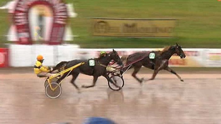 Turf - Turf - 18/01/15