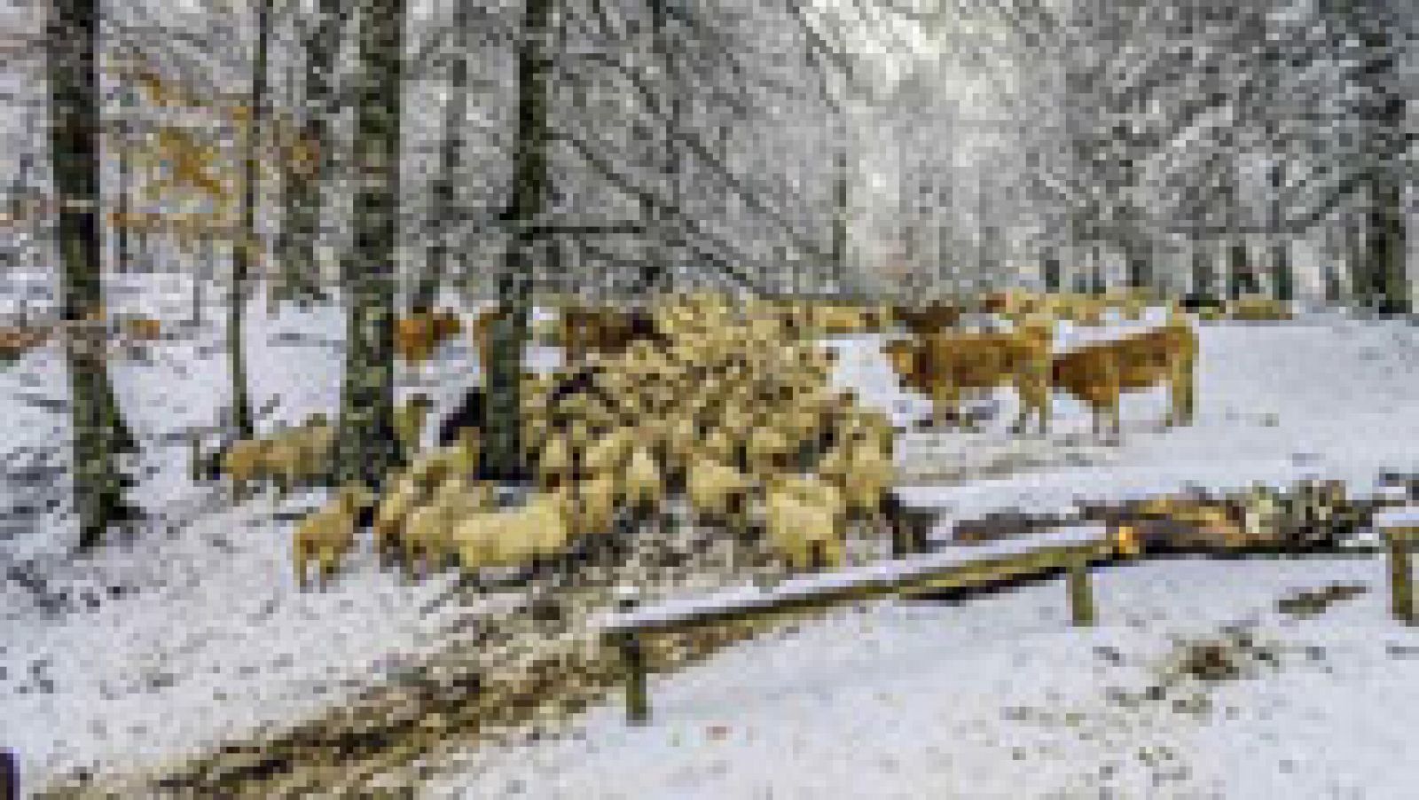 El tiempo: Alerta naranja por acumulación de nieve en la zona suroccidental asturiana | RTVE Play