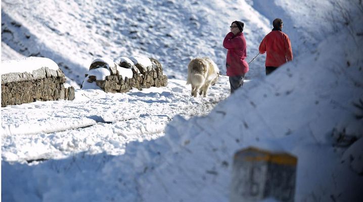 Temporal de frio y nieve