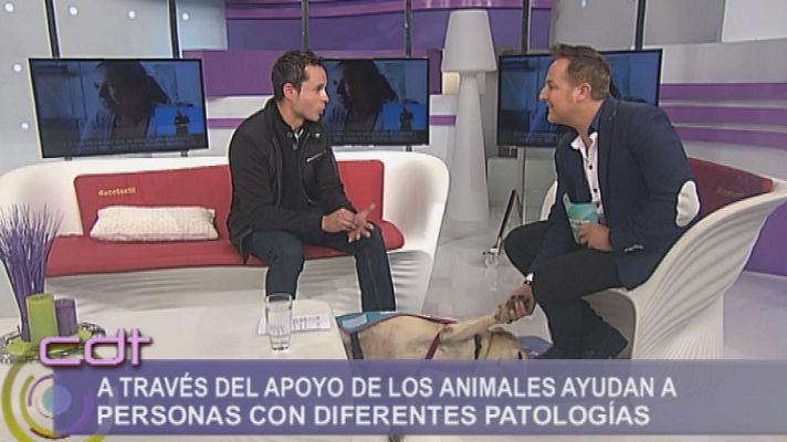 Cerca de ti - Cerca de ti - 14/01/15