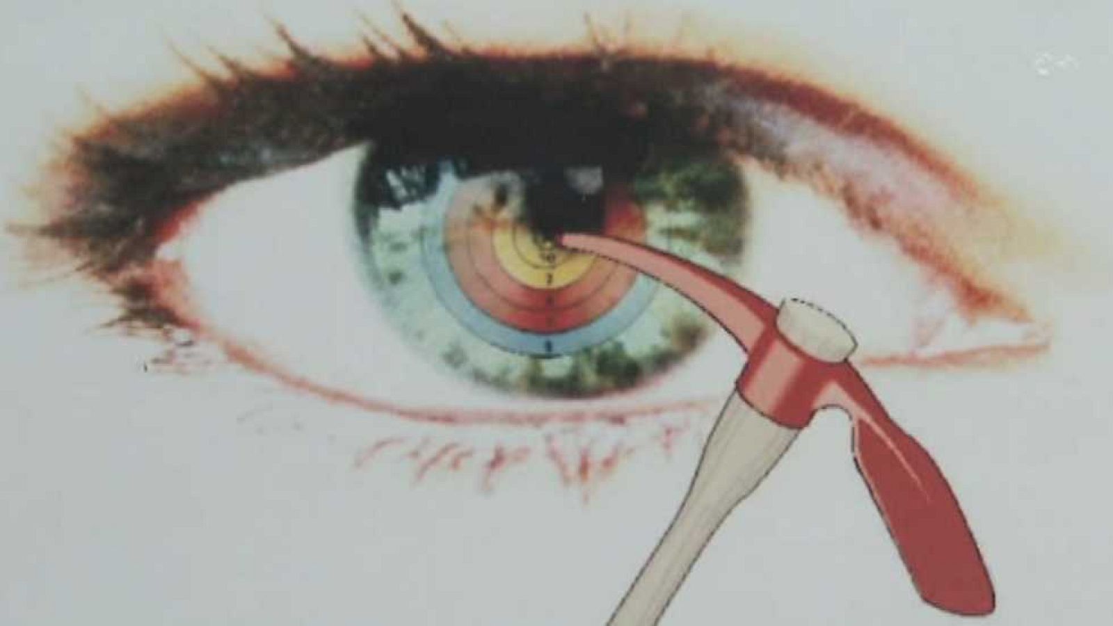 La aventura del saber - 19/01/15 - ver ahora