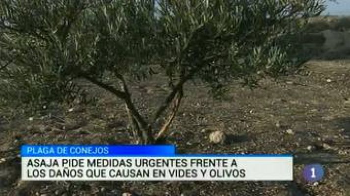 Noticias de Castilla-La Mancha 2 - 19/01/15