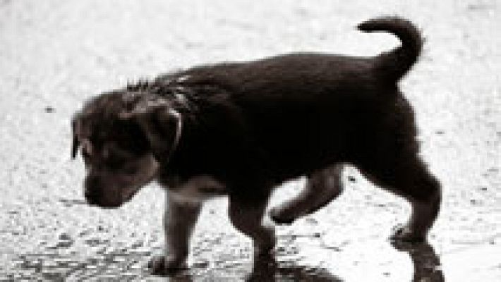 El tiempo - Lluvias fuertes en Andalucía