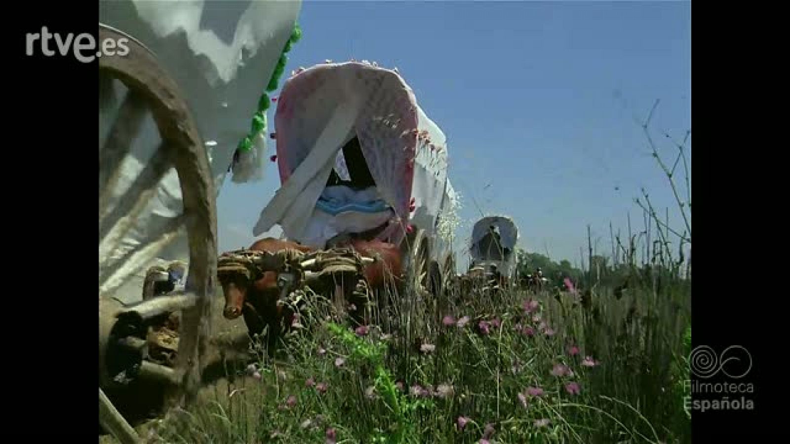 FIESTAS DE ESPAÑA - Documentales Color | Ver
