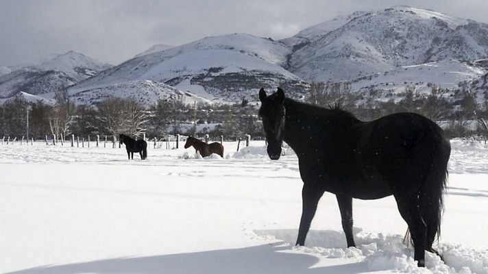 La mañana - 1ª parte - 21/01/14