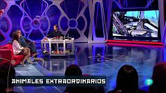 Órbita Laika - Animales muy particulares