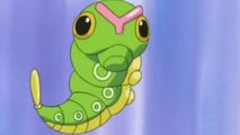 Sin programa: Caterpie's Big Dilemma | RTVE Play