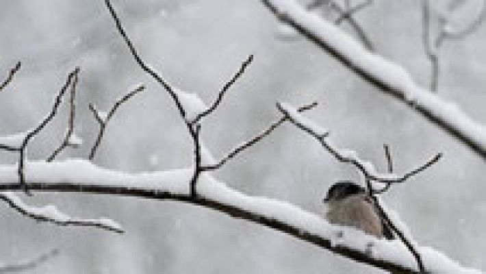 Informativo de Madrid - El tiempo en la Comunidad de Madrid - 22/01/15