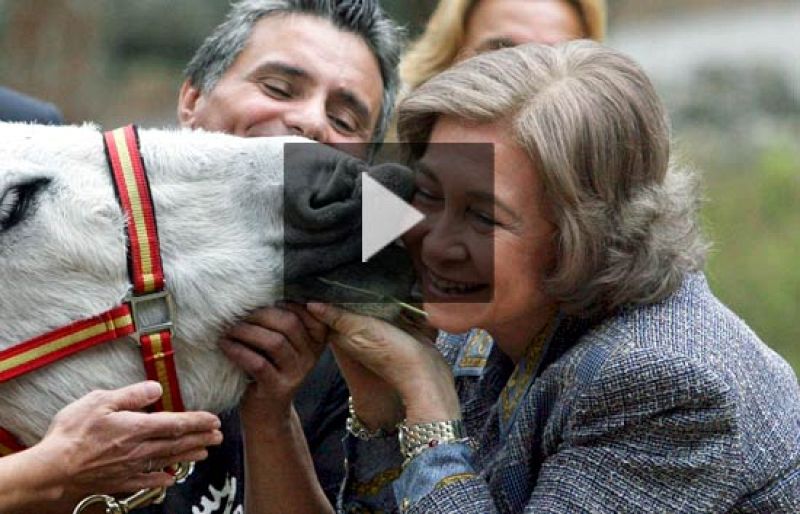  La Reina, en el refugio de los burros