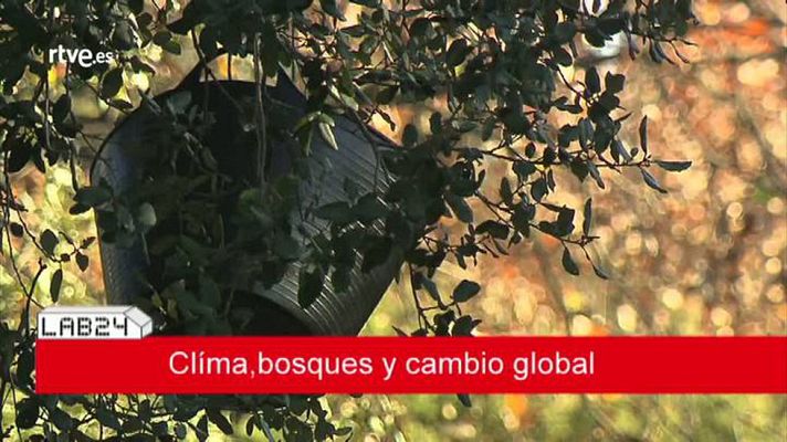 Lab24 - Lab24 - Programa 18 - avance