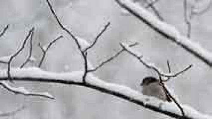 El tiempo - Posibilidad de nieblas en la Meseta norte