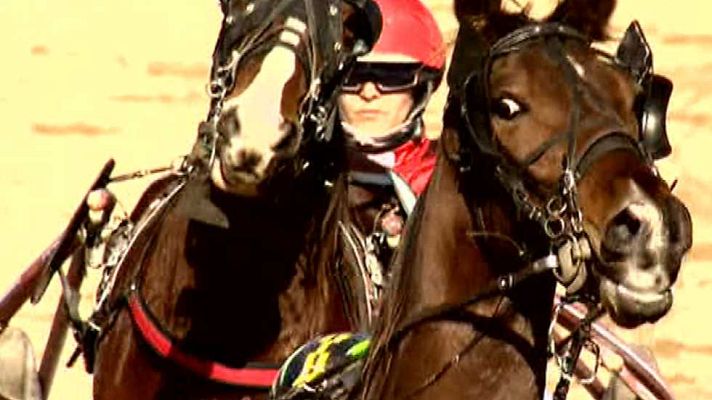 Turf - Turf - 25/01/15