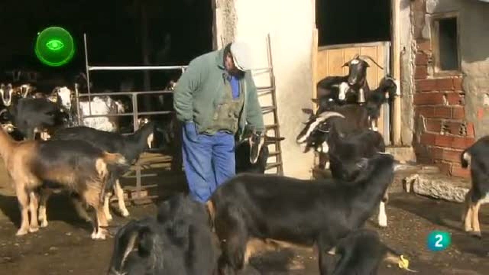 Agrosfera - En primer plano - Lobos y mastines