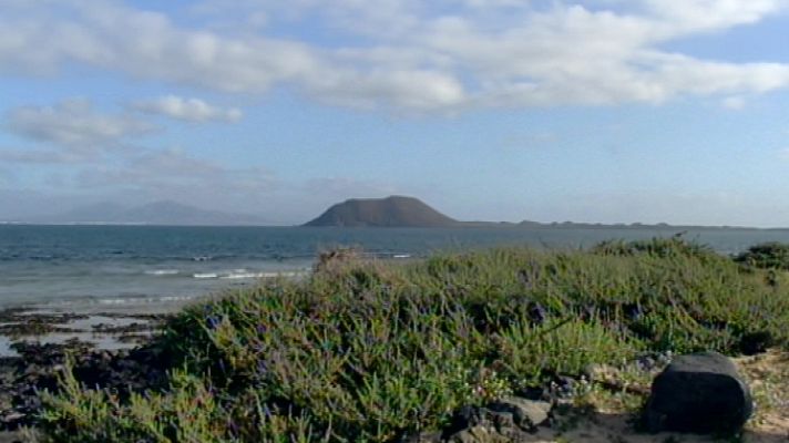 Telecanarias - El tiempo en Canarias - 27/01/15