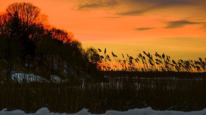 Informativo de Madrid - El Tiempo en la Comunidad de Madrid - 28/01/15