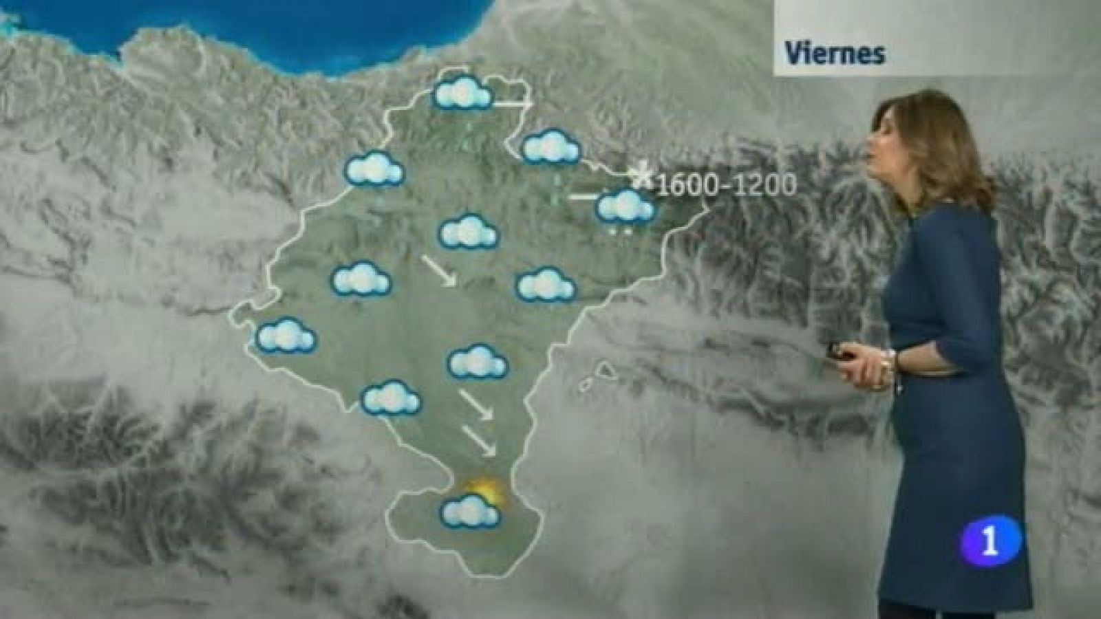 El Tiempo en la Comunidad de Navarra - 29/01/2015 | Ver