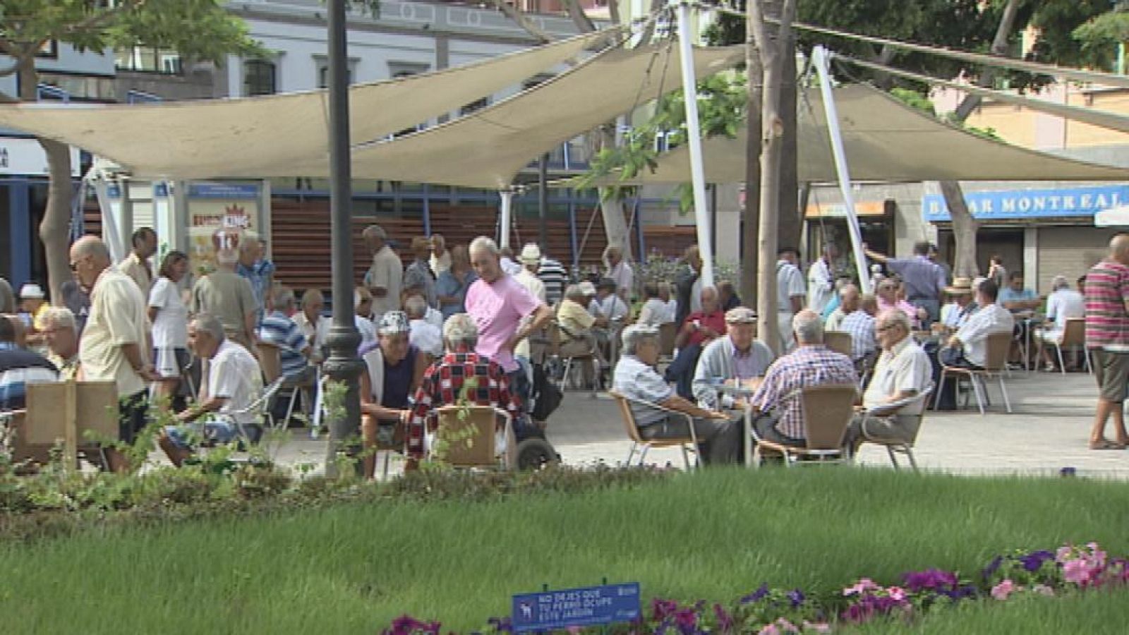 Telecanarias - 29/01/15 | Ver