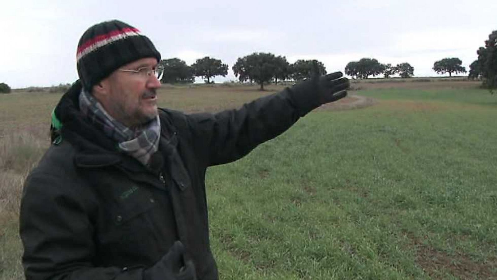 Agrosfera - 31/01/15 - Ver ahora