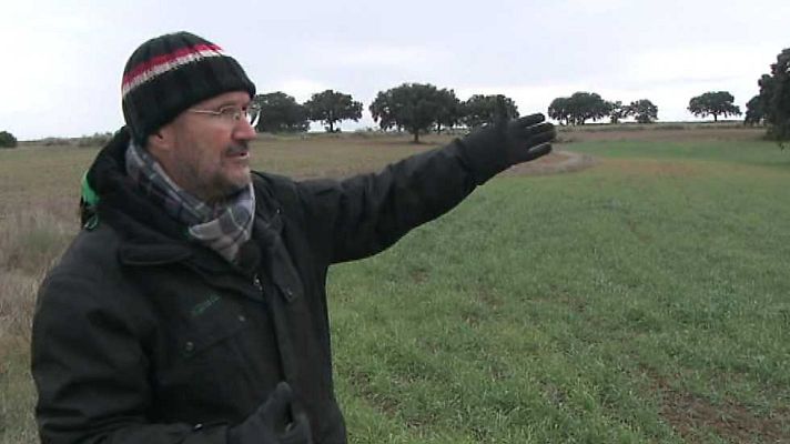 Agrosfera - Agrosfera - 31/01/15