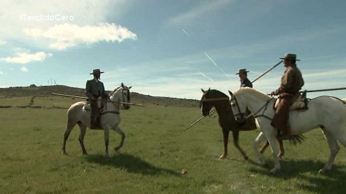 Tendido cero - Tendido Cero - 31/01/15